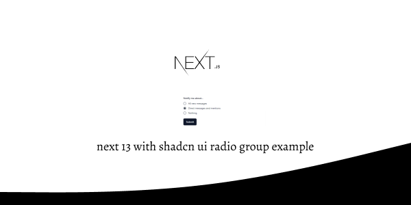 next 13 with shadcn ui radio group example