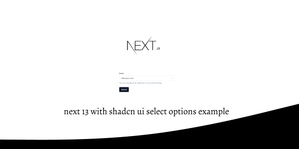 next 13 with shadcn ui select options example