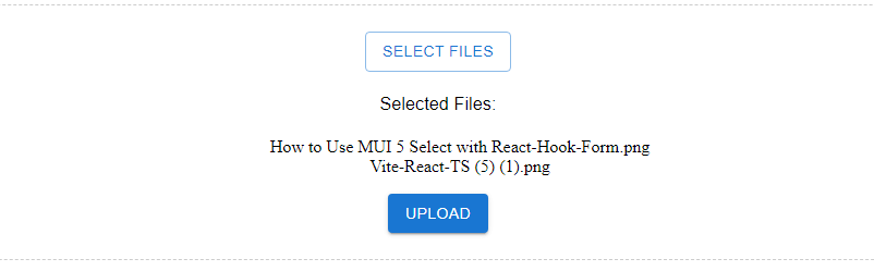  multiple file upload